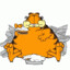 Garfield 480_kg