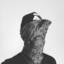 Poney Sauvage