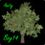 AmityBoy14