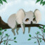 shykoala