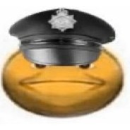 vibe officer Steam avatar