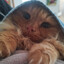 Plafu猫's avatar