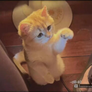 紧靠秋天的右边