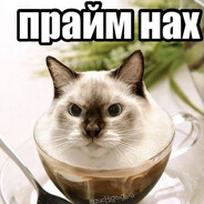 Jensok