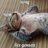 не курю сигареты