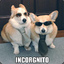 Incorgnito