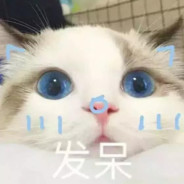 Qq猫篮子