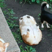 小针一扎跑满地图却找不到半个朋友