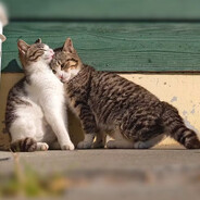 迈扣听我解释我真的没有在水晶湖厮混