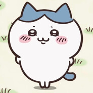 原来Wust是香肠的意思