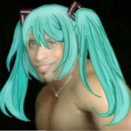 不是叱咤月海鱼鱼猫