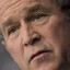 bush did it