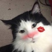 男朋友和我分手你不劝一打架你就来劝