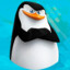 SKIPPER