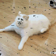 你是陀螺雄？？？