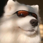 比奇堡狙击手小蜗