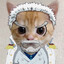 Garp Cat D.
