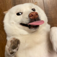 Guy avec un énorme pénis