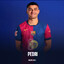 Pedri.skins.army