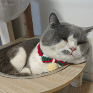 幼儿园大班首富