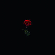 aimqn