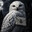 noobhedwig