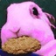 DemiBunny