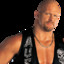 steve austin