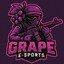 [GRAPE] RTZ skins