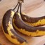 Moldy Banana