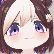 关于我转生成为东海帝皇这档事