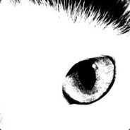 Celefin avatar