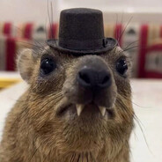Hyrax