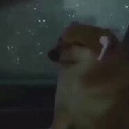 ASWEX - steam id 76561199213603367