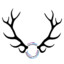 Antlerrss