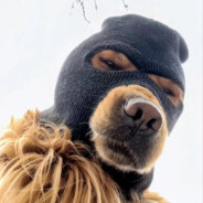 手枪局听到了AK声音