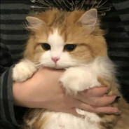 吃个桃桃怎么啦