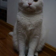 美团外卖配送员古天乐