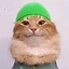fress-