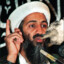 Osama bin Carten