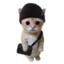 KIMI