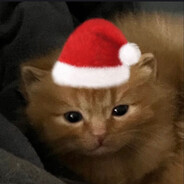 ~𝕾1𝖊𝖗𝖌𝖊𝖓𝖔~