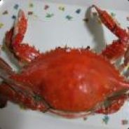 zzans333