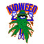 Kidweed