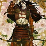 我和我的动物朋友们