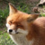 Nanan