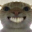 Lingcage