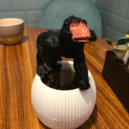 Нюхай Бебру