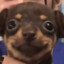 228