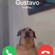 GUSTAVO - steam id 76561198915680346